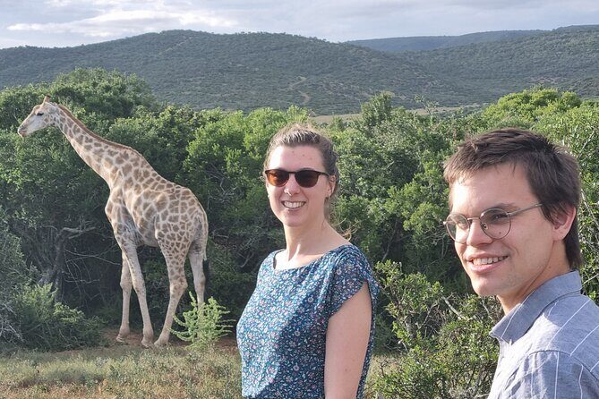 Private Full-Day Addo Elephant Park & Giraffe Walk - Exploring Addo Elephant National Park: A Wildlife Haven