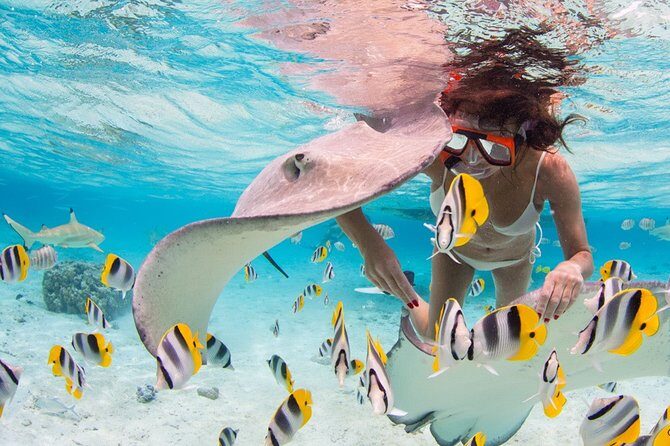 Private Full Day Aquatic Photo Tour + Resort Photo-Shoot (All inclusive) - The Itinerary in Detail