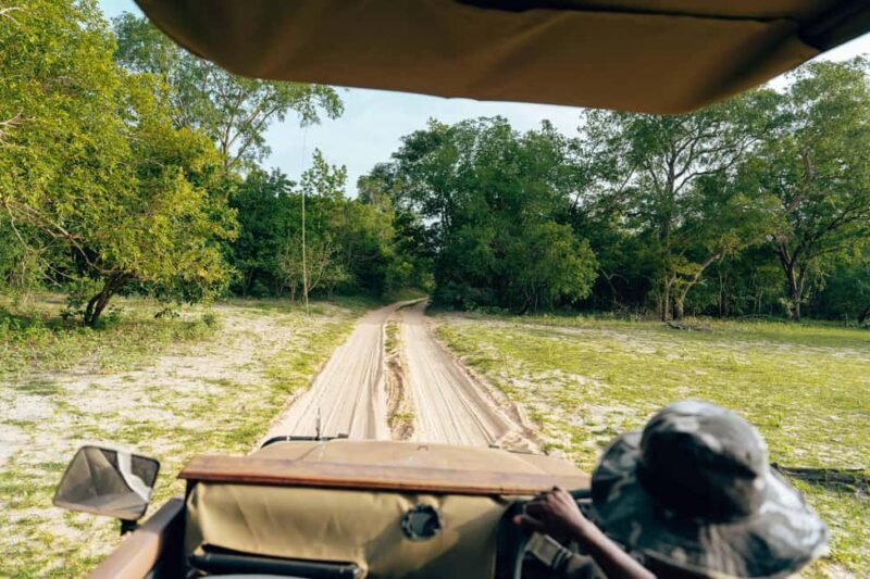 Private full day Aquila Safari tour - Key Points