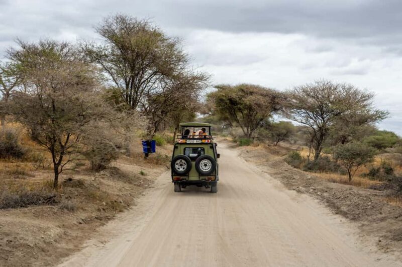 Private full day Aquila Safari tour - Deep Dive Into the Experience