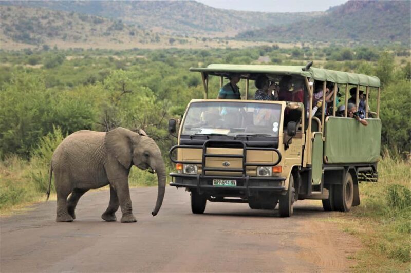 Private full day Aquila Safari tour - Who Will Love This Tour?