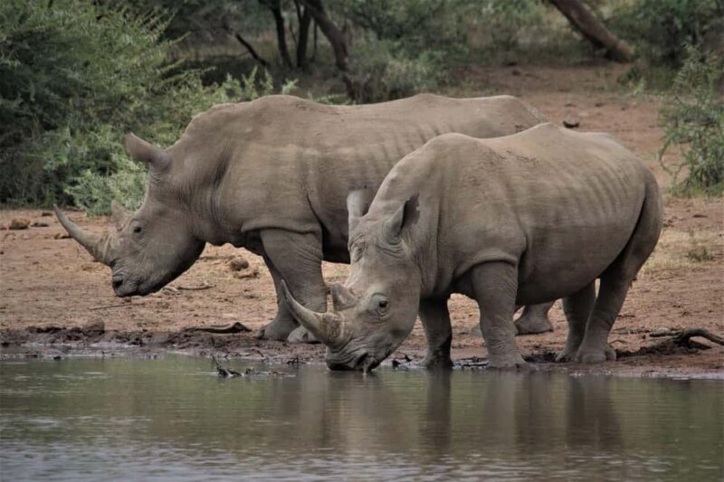 Private full day Aquila Safari tour - Final Thoughts