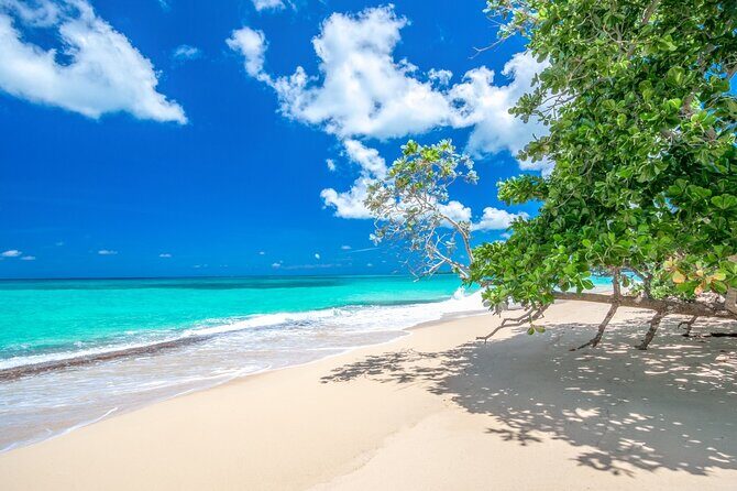 Private Full Day Beach Tour in Puerto Plata - Key Points