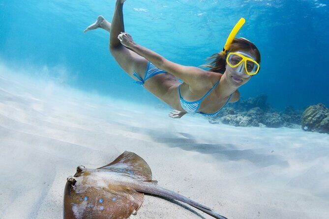 Private Full Day BVI Boat Charter Aboard MV Aquarius - Who This Tour Is Perfect For