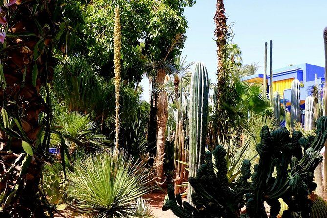 Private Full-Day Casablanca To Marrakech & camel ride - The Itinerary in Detail