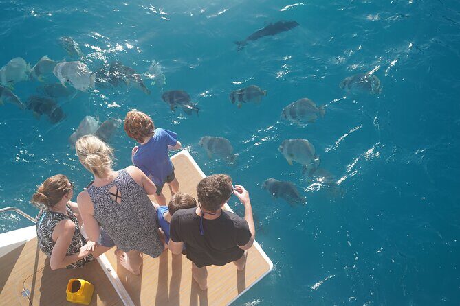 Private full day catered & crewed yacht charter- Airlie Beach - An In-Depth Look at the Private Yacht Charter
