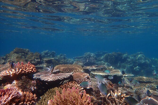Private full day catered & crewed yacht charter- Airlie Beach - FAQ