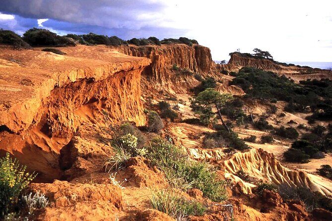 Private Full Day Coastal Tour from San Diego with private driver/guide - Final Thoughts