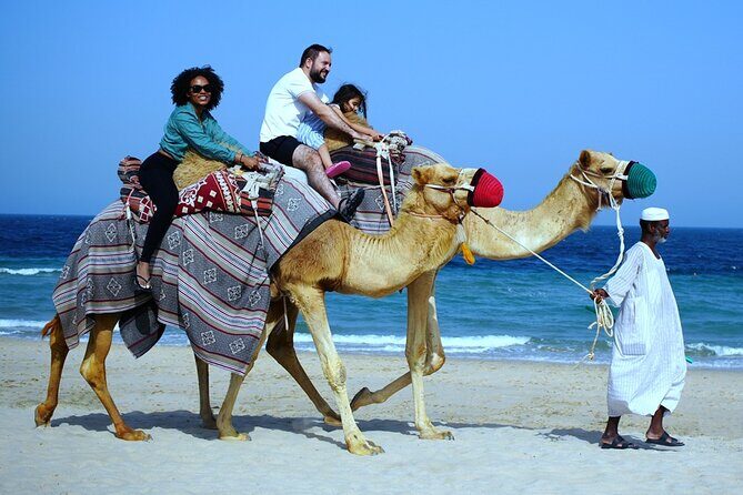 Private Full Day Desert Safari - FAQ