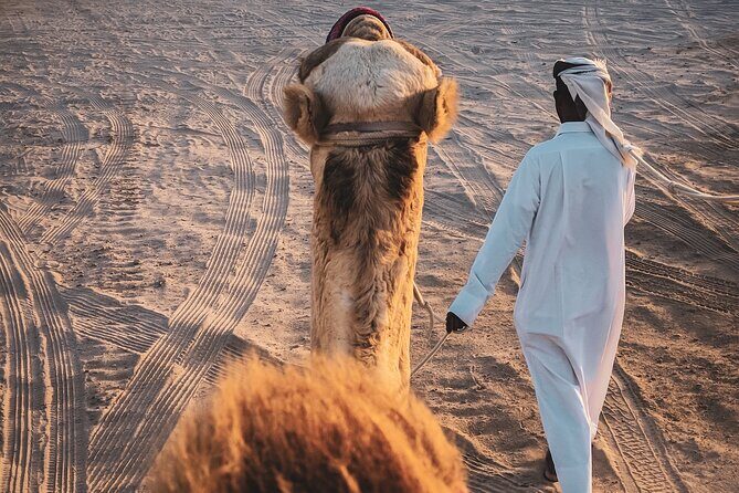 Private Full Day Desert Safari Dinner and Camel Ride in Doha - The Sum Up