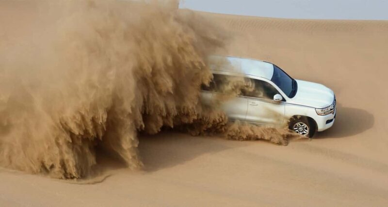 Private Full-Day Desert Tour - Practical Details to Know