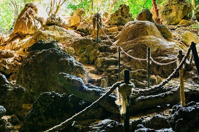 Private Full-Day: Dolphin & Monkey Jungle Adventure - Who Will Love This Tour?