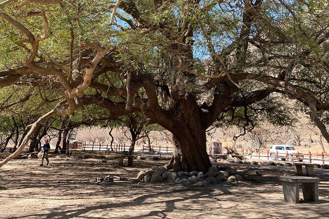 Private Full-Day East Oman Tour from Salalah with Lunch - FAQs