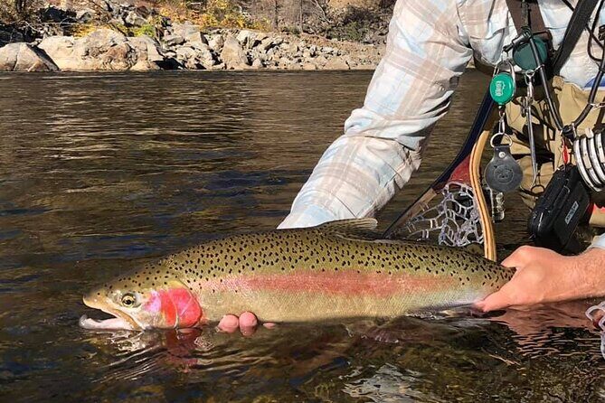 Private Full Day Fly Fishing For Beginners and Experienced Anglers - FAQ