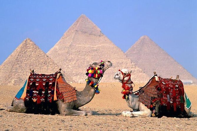Private Full-Day Giza Pramids, Sphinx, Egyptian Museum& Bazaars From Cairo - The Sum Up