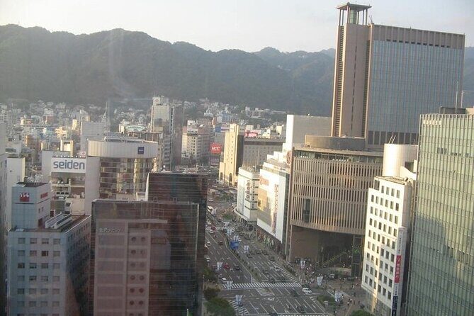 Private Full-Day Guided Tour in the City of Kobe - FAQ