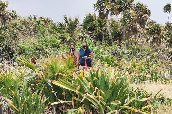 Private Full-Day Guided Tulum Coba and Cenote Tour with Lunch - The Sum Up