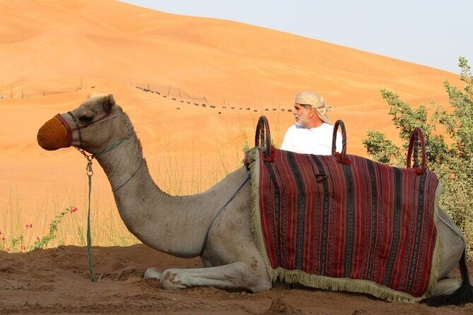 Private Full Day Guided West of Qatar Tour and Desert Safari - What’s the Real Value?