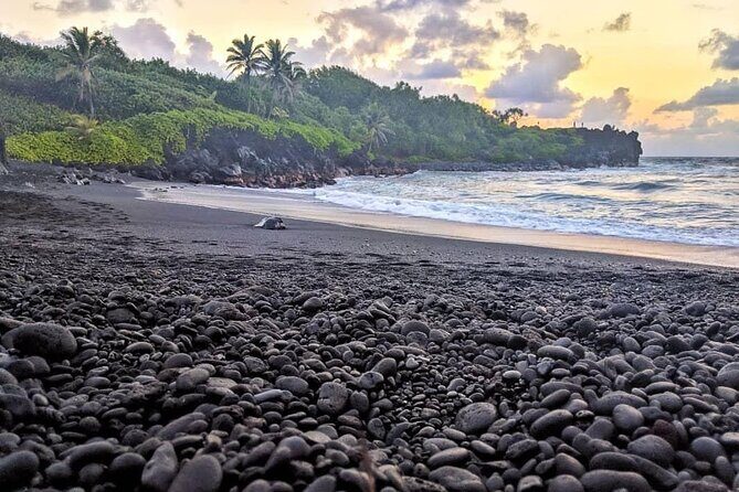 Private Full Day Hana Jeep Tour - Who Should Book This Tour?