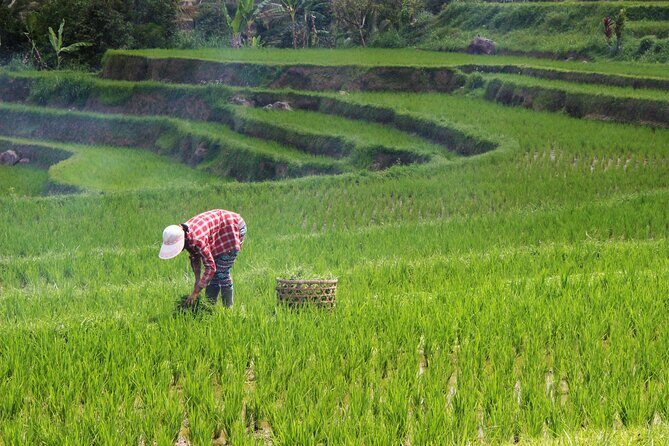 Private Full-Day Handara, Ulun Danu, Jatiluwih and Tanah Lot Tour - Final Thoughts