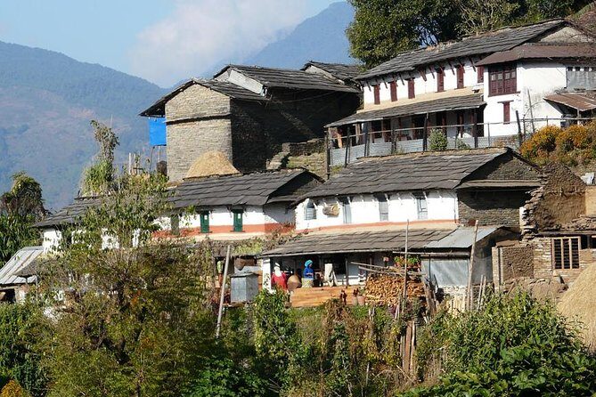 Private Full-Day Hike in the Annapurna Foothills in Pokhara - What Travelers Love