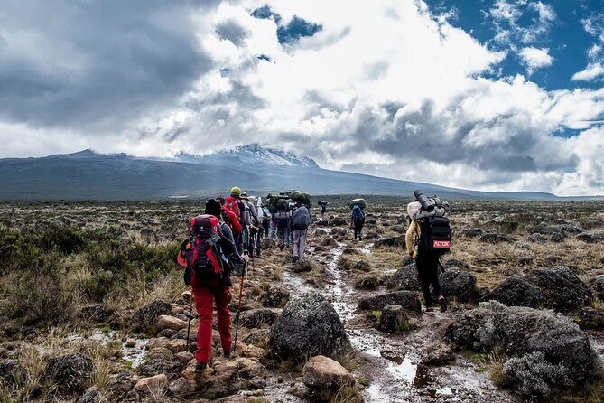 Private Full Day Hiking Experience to Marangu Route - The Itinerary in Detail