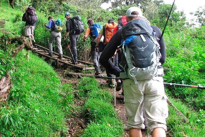 Private Full Day Hiking Experience to Marangu Route - Final Thoughts: Is It Worth It?