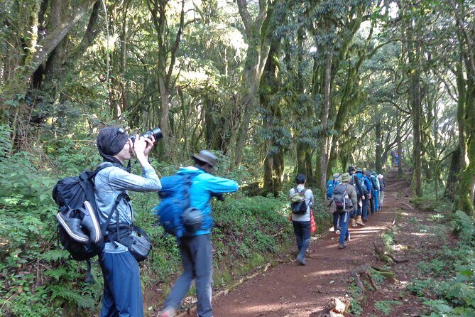 Private Full-Day Hiking Tour in Mount Kilimanjaro - What to Expect on the Day