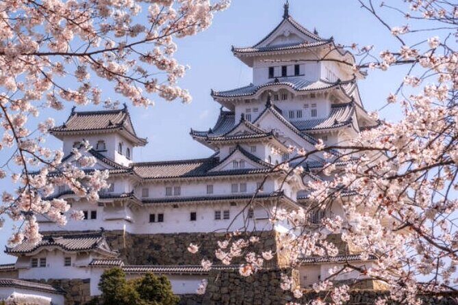 Private Full Day Himeji and Kobe Day Tour - Why Choose This Tour? A Balanced Look