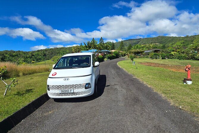 Private Full Day in Papeete and Tahiti Iti with Belveder Lookout - Who Will Love This Tour?