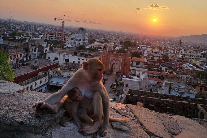 Private Full-Day Jaipur City Sightseeing Tour with Sunset View - Transportation and Guide Options