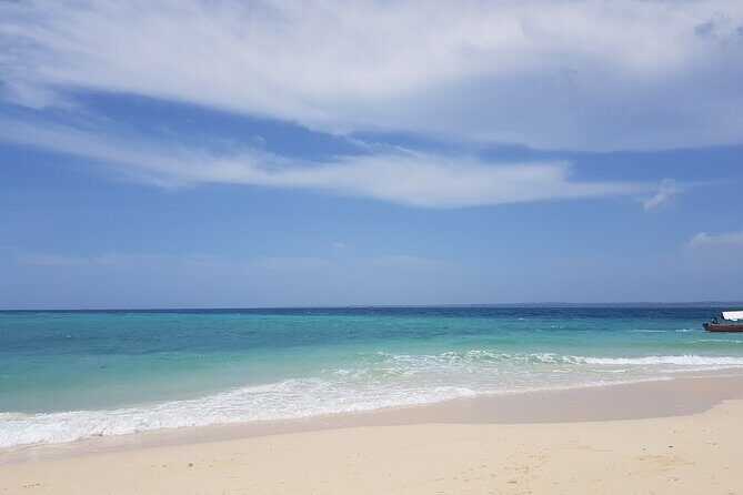 Private Full Day Jozani, Paje Beach and Rock Restaurant Tour - Possible Drawbacks