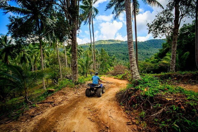 Private Full Day Jungle 4x4 Safari Explore Koh Samuis Wonders - What About the Reviews?