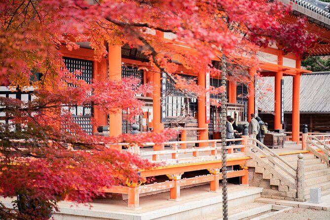 Private Full-Day Kamakura-Enoshima Tour with Bilingual Driver - Key Points