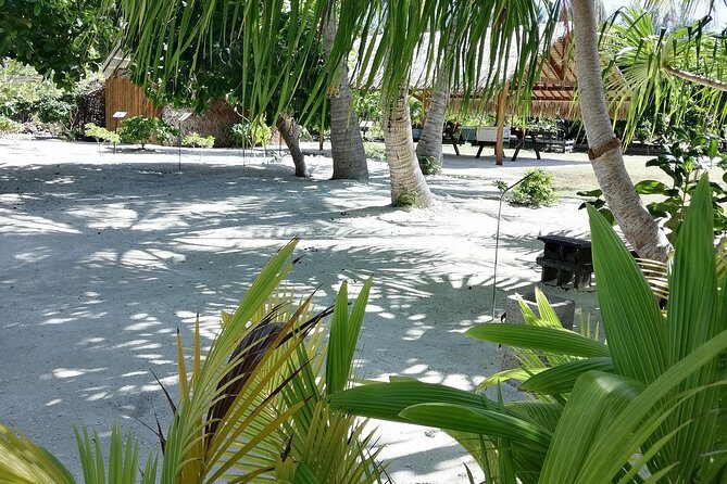 PRIVATE FULL DAY LAGOON TOUR - Bora Bora Cultural Lagoon Tour - The Itinerary: What To Expect