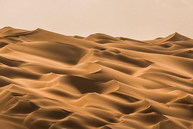 Private Full Day Liwa Desert Safari Tour with Lunch From Dubai - An In-Depth Look at the Liwa Desert Safari Experience