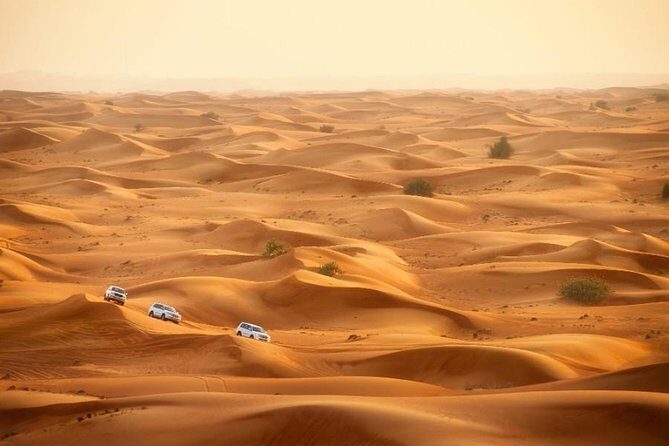 Private Full Day Liwa Desert Safari Tour with Lunch From Dubai - Frequently Asked Questions (FAQs)