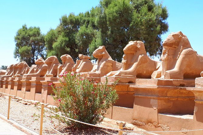 Private Full-Day Luxor Sightseeing Tour from Cairo by Plane - What Travelers Say: Authentic Voices