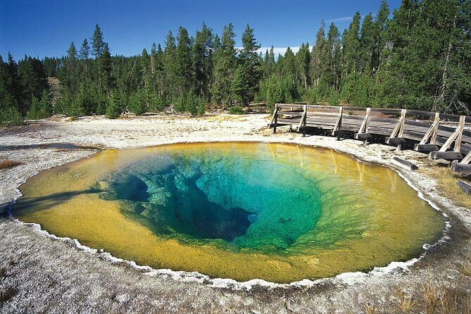 Private Full Day Luxury Tour at Yellowstone Park - Who Might Want to Consider Other Options?