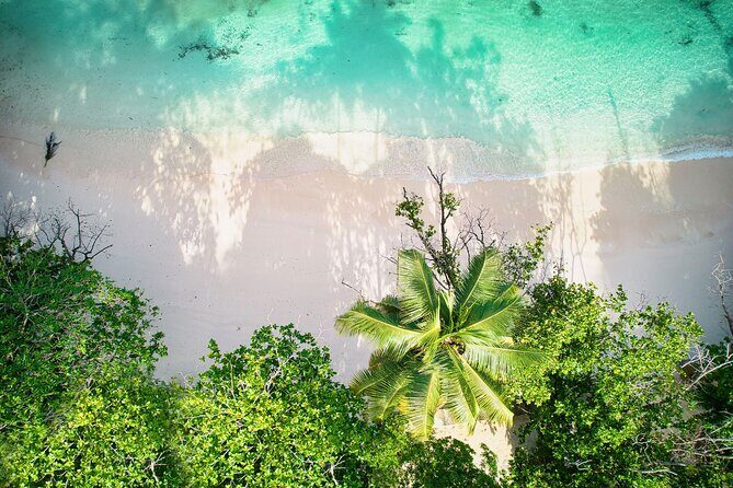 Private full day Mahe island tour 8-10 persons - Introduction: An Inviting Look at Mahe’s Best