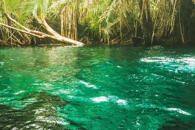 Private Full-Day Materuni Waterfalls and Kikuletwa Hotspring - Key Points