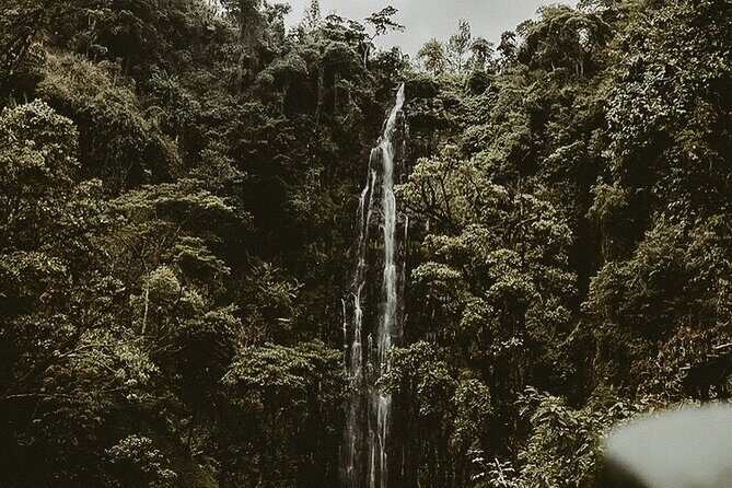 Private Full-Day Materuni Waterfalls and Kikuletwa Hotspring - The Journey to Materuni Waterfalls