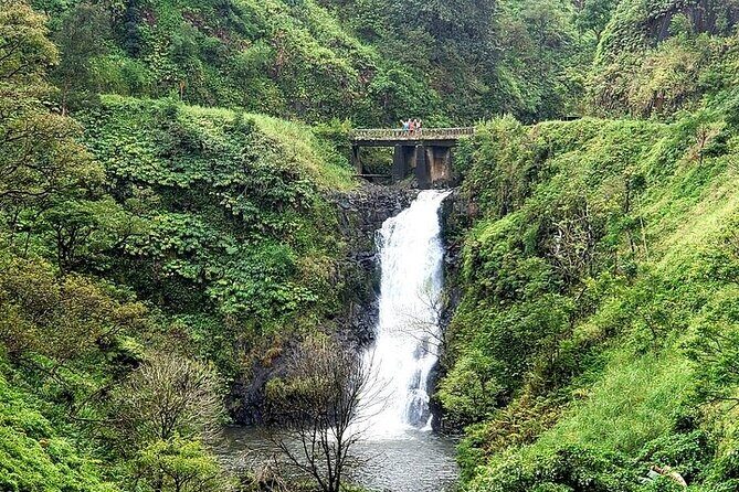 Private Full Day Maui Road to Hana Tour - The Sum Up: Who Is This Tour Best For?
