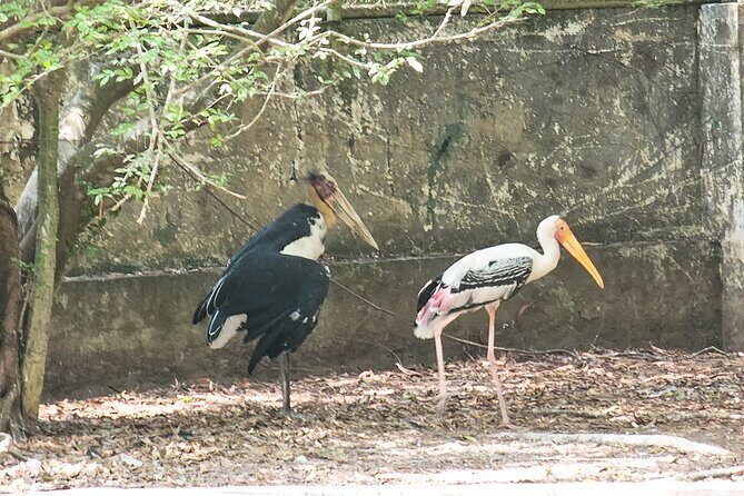 Private Full Day Mekong Delta Tour to Dong Thap Muoi Wetlands - An Honest Breakdown of the Tour Experience