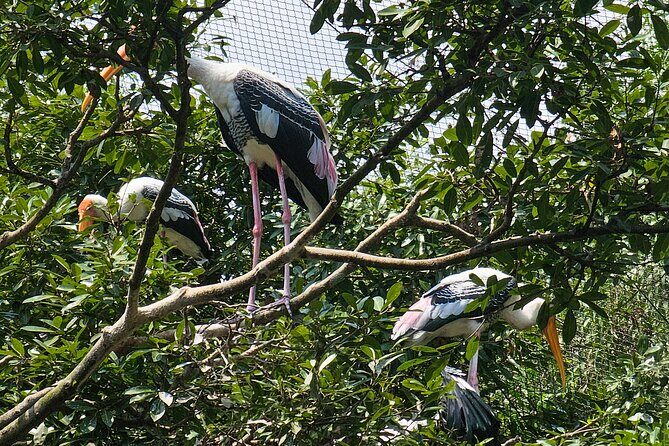 Private Full Day Mekong Delta Tour to Dong Thap Muoi Wetlands - Who Should Consider This Tour?