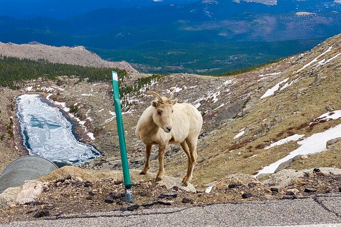 Private Full-Day Mount Blue Sky & Red Rocks Tour from Denver - Practical Details and Value