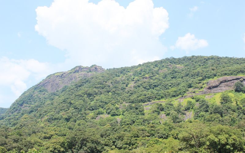 Private Full day Nandi Hill Excursion with Lunch - The Sum Up: Is It Worth It?