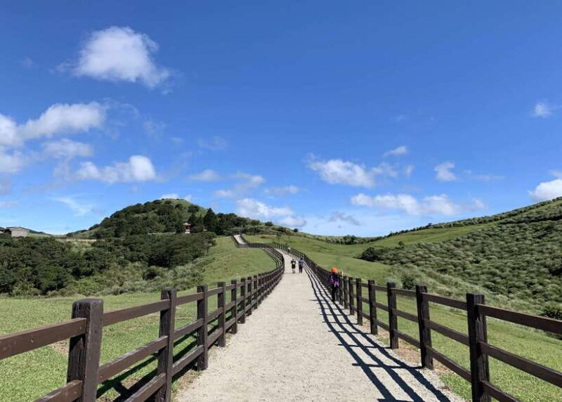 Private Full-Day Northern Taiwan Tour by Car from Taipei - Authentic Experiences and Review Highlights