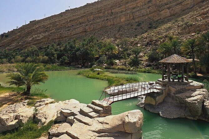 Private Full Day Private Desert Safari Tour - Practical Details: What Does This Tour Include?