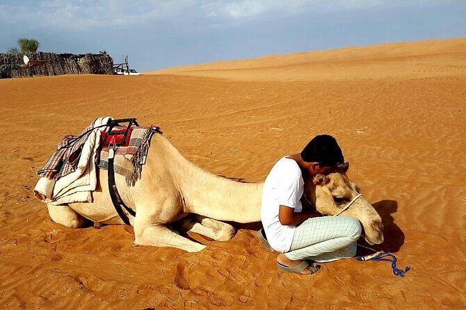 Private Full Day Private Desert Safari Tour - Frequently Asked Questions